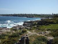 Hermanus (2) 